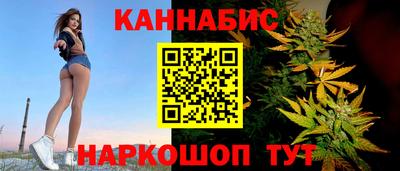 индика Тула