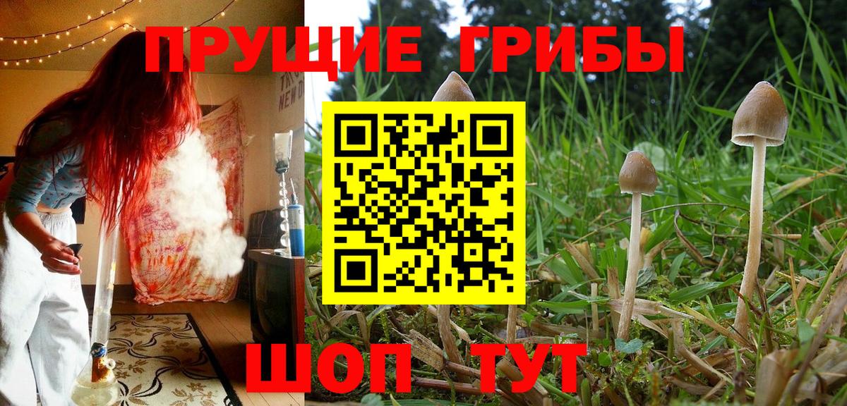 Галлюциногенные грибы мицелий Нововоронеж